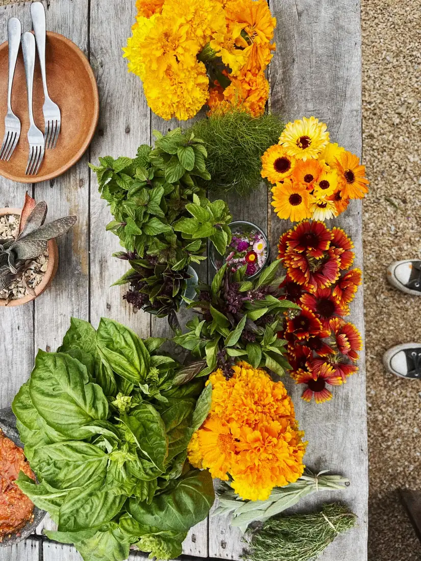 La Cocinera Choyera — My Journal