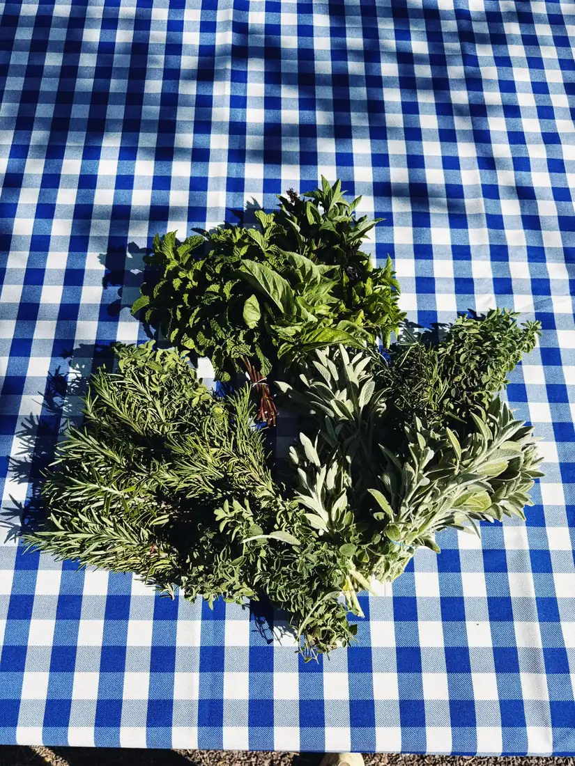La Cocinera Choyera — My Journal